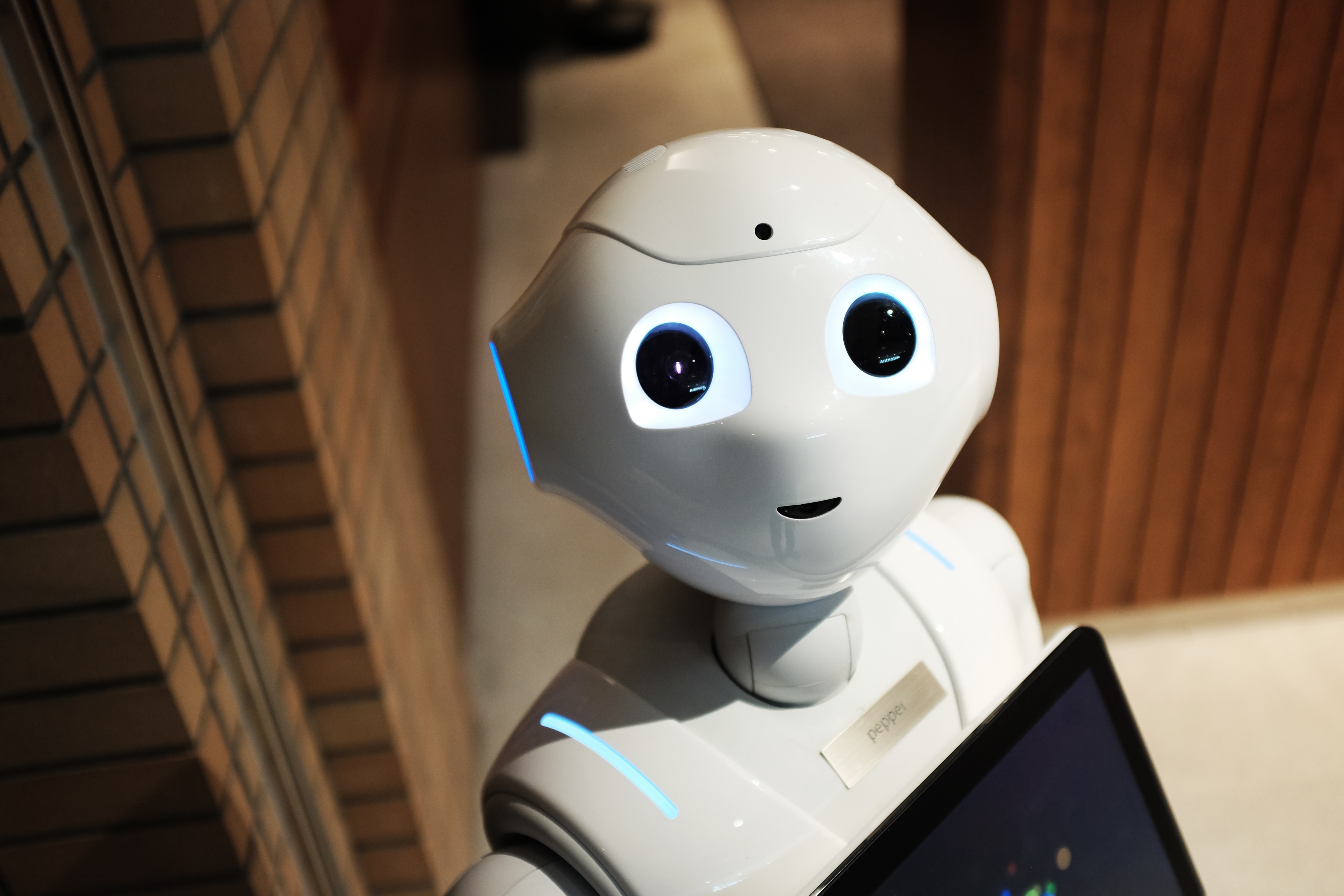 A gentle Robot